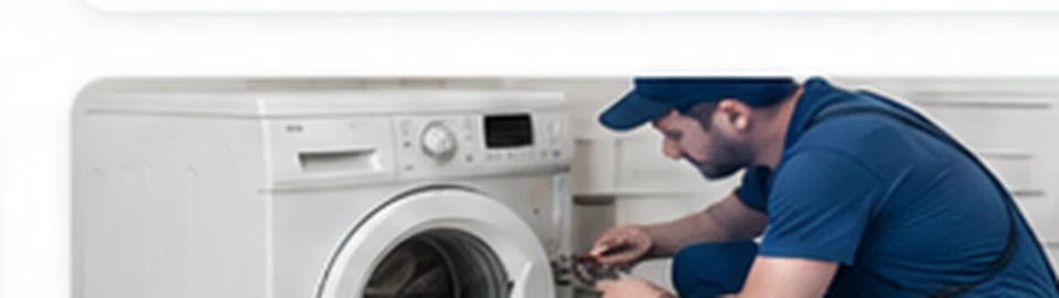 Profesional de electrodomésticos